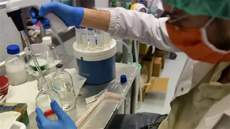 لقاح التيفود والسالمونيلا