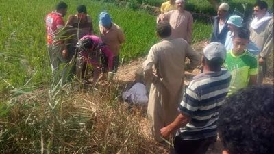 الأمن يكشف لغز مقتل طالب والعثور على جثمانه بالزراعات