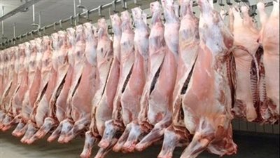 ذبح الحمير بالغربية.. حملات مكثفة بعد ضبط واقعة «السنطة»