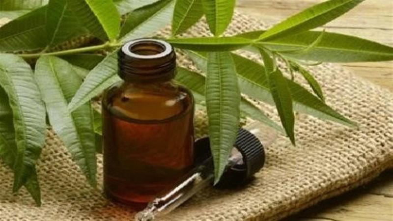 زيت شجرة الشاي