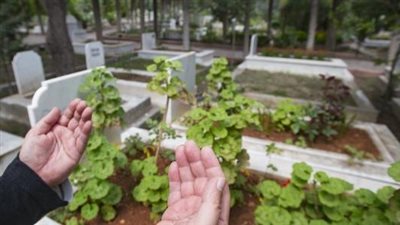 هل الموت يوم الجمعة ينجي من عذاب القبر؟