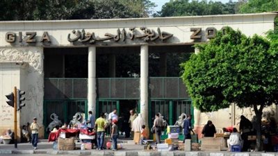 بعد تطويرها.. موعد افتتاح حديقة الحيوان بالجيزة 