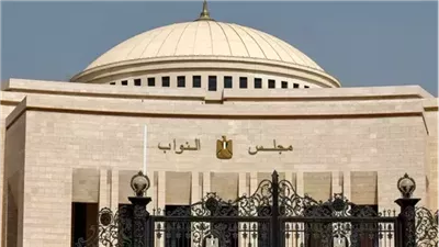 الهيئة الوطنية تعلن جولة إعادة بعد مراجعة الأصوات بالدقهلية