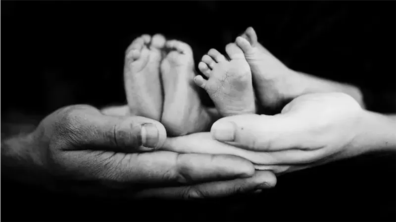 حلم الحمل فى توأم