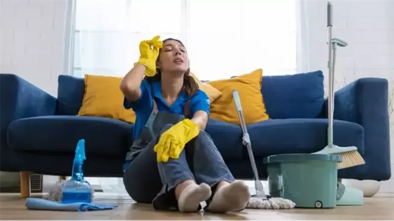 القارئ نيوز