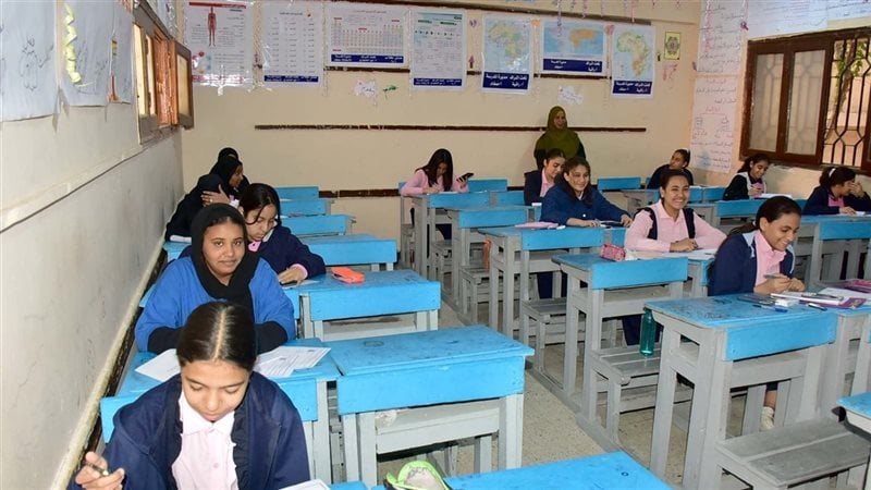 القارئ نيوز