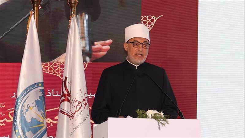 القارئ نيوز