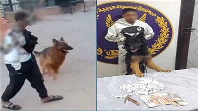 «الكلاب كأداة للبلطجة».. الأمن يضبط المتهم لترهيبه المواطنين بالقليوبية