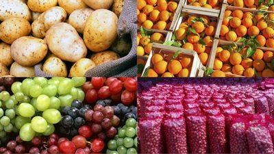 بيان هام.. صادر عن وزارات «الإستثمار والتموين والزراعة»