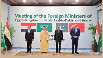مصر تطرح في قمة «إسلام آباد» نظاماً أمنياً لإعادة بناء النظام الإقليمي 