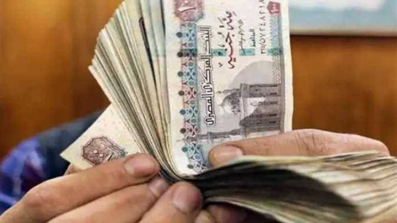 منحة العمالة الغير