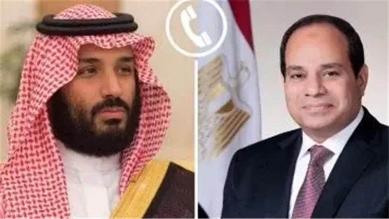 الرئيس السيسي والملك