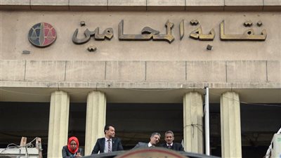 «اقتصادية القاهرة» تأمر بالتحفظ على محامية بتهمة سب وقذف نقيب المحامين