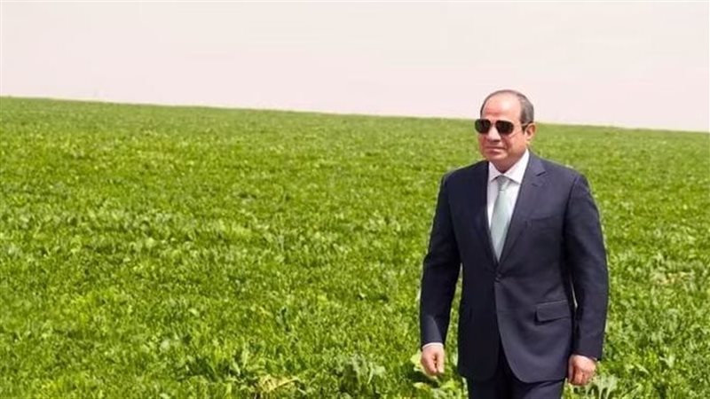 فخامة الرئيس عبد