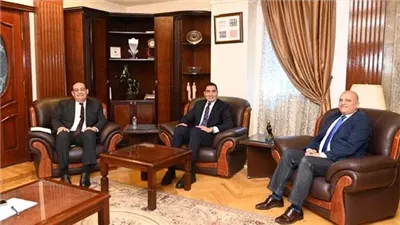 مصر تتجه لإنشاء مدينة صناعات رياضية بالتعاون مع الجانب الصيني