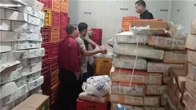 ضبط أكثر من نصف طن لحوم وأسماك غير صالحة للاستهلاك بالمنوفية
