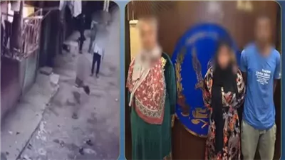 ضبط شقيقين بتهمة التعدي على زوجة عمهما وإلقاء الحجارة عليها بالقليوبية