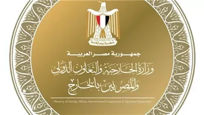 الخارجية تحسم حقيقة زيادة رسوم المعاملات القنصلية للمصريين بالخارج