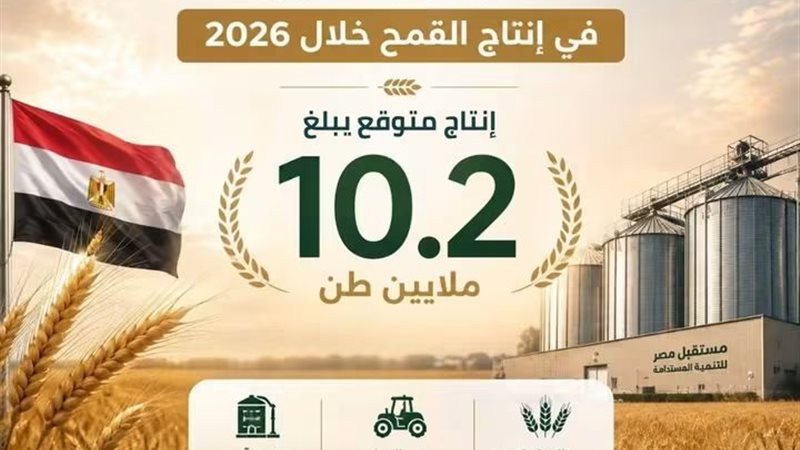 القارئ نيوز