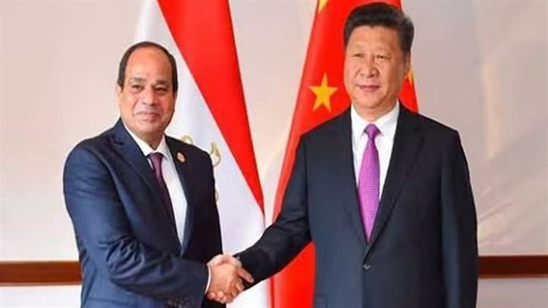 الرئيس السيسي - الرئيس
